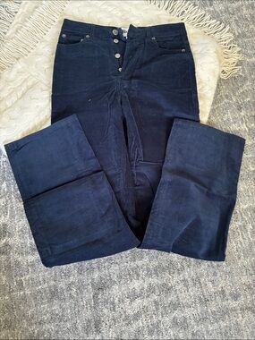 Rouje Navy Blue Corduroy straight Leg Pants